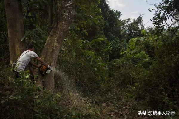 娶緬甸毒王女兒,四川打工仔變第一毒梟,死前悔悟錢再多也沒用 娶緬甸毒王女兒,四川打工仔變第一毒梟,死前悔悟錢再多也沒用