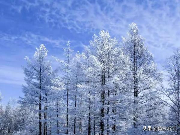 無悔人生,悲歡幾何 無悔人生,悲歡幾何