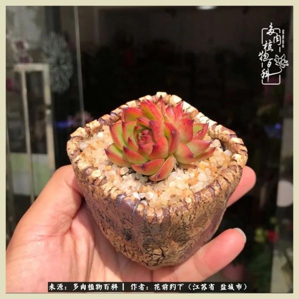 你儘管善良,福報都在路上 你儘管善良,福報都在路上