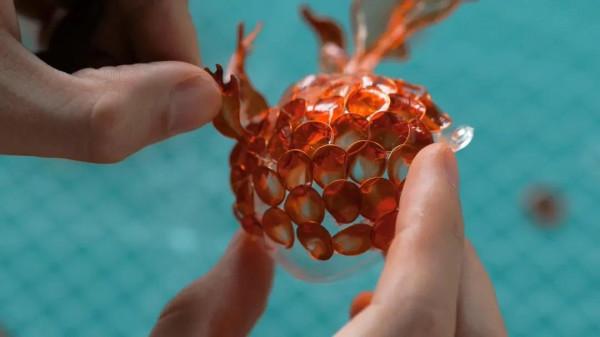 手工DIY丨值得一試的小手工（琥珀金魚篇）