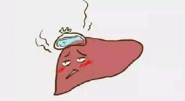 肝不好，吃點啥？