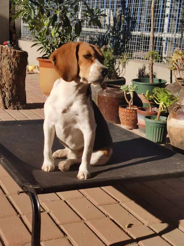 家有老婆愛養花二