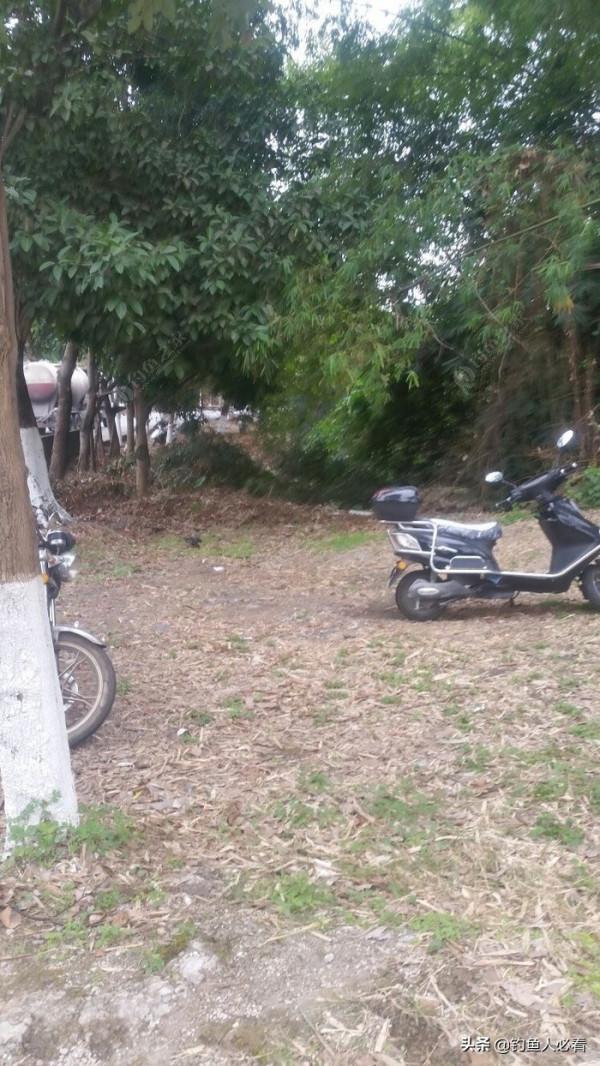 野釣搞遊擊，第一竿中魚，驚喜又刺激