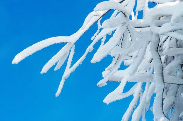 在家觀冬奧 聯想冰雪記憶