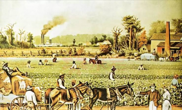 巴哈馬——一個靠“薅美國羊毛”富起來的黑人國家 巴哈馬——一個靠“薅美國羊毛”富起來的黑人國家