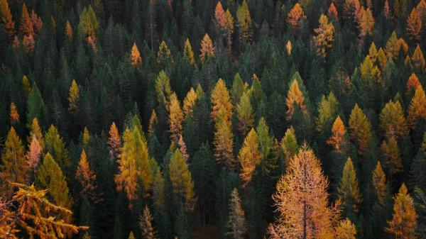 絕美風景風光桌面桌布，高畫質原圖