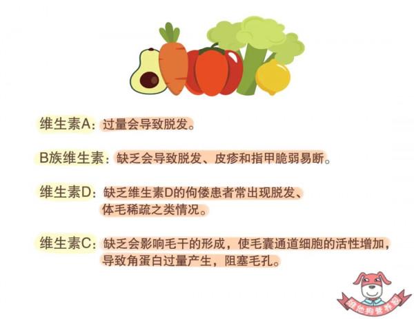 髮際線保不住了?吃對了或許還有救 髮際線保不住了?吃對了或許還有救