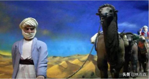 桑蠶文化活化石-柘桑蠶 桑蠶文化活化石-柘桑蠶