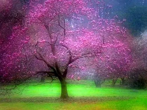 民間故事：書生夜遇鄰居，鄰居給他炸糕，乞丐：快跑，她已不是人