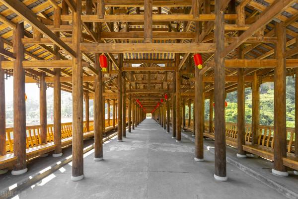 我與大學同學偉哥不同的人生經歷和故事，同學不同命，同行不同運