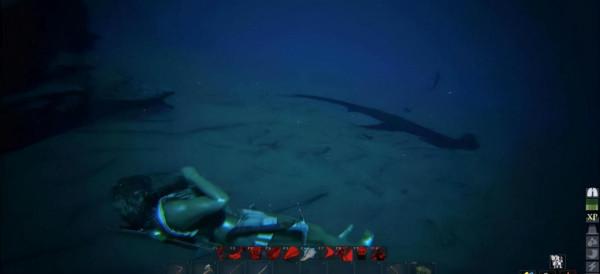 海盜遊戲《ATLAS》玩家穿潛水服下海抓螃蟹,卻被大白鯊追著咬 海盜遊戲《ATLAS》玩家穿潛水服下海抓螃蟹,卻被大白鯊追著咬