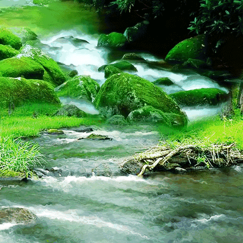 超美的自然風光分享（六十多幅畫）