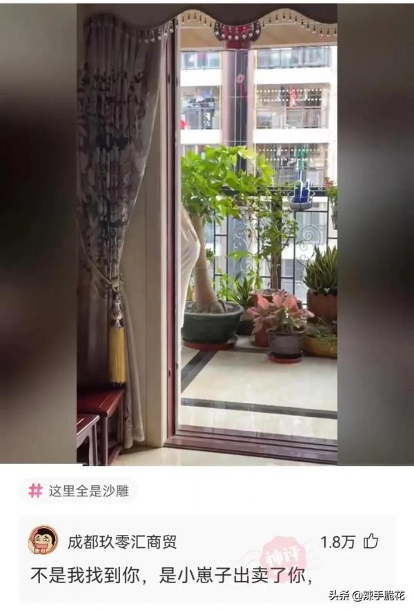 網友：進化的時候沒帶你？