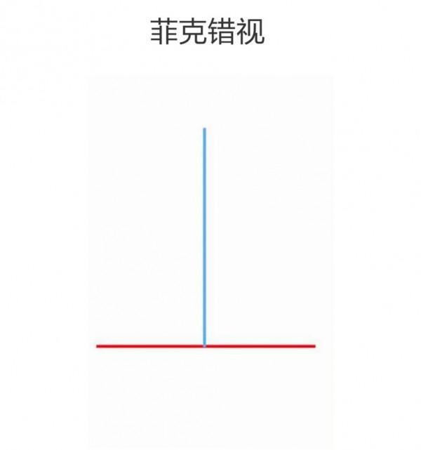 被這位胖子博主驚豔,身高162體重160斤,但還是美成顯瘦穿搭模板 被這位胖子博主驚豔,身高162體重160斤,但還是美成顯瘦穿搭模板