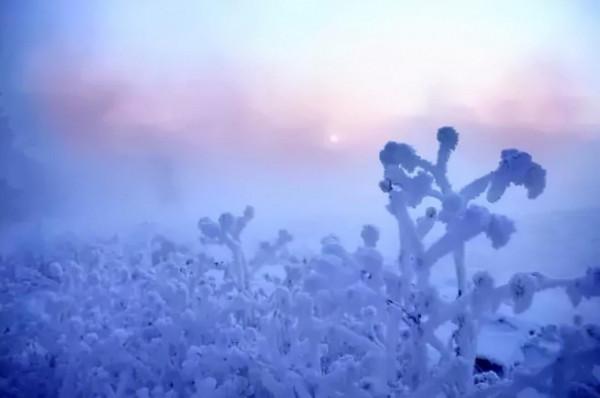 新疆霧凇,這才是完美冬天的開啟方式,真正的冰雪王國... 新疆霧凇,這才是完美冬天的開啟方式,真正的冰雪王國...