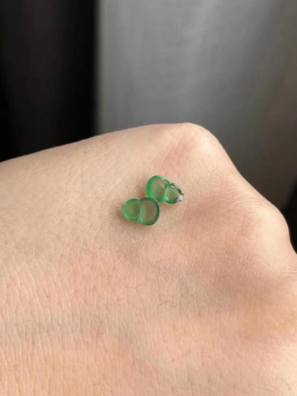 熒光小綠葫蘆 熒光小綠葫蘆