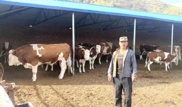 “鄉村振興，萬戶建立”——“農創杯”肉牛養殖科技示範戶已經產生啦！