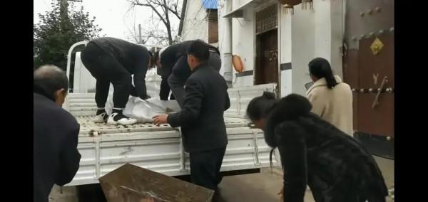 大衣哥買了假山石，改造一下小院環境，迎接兒媳婦回家