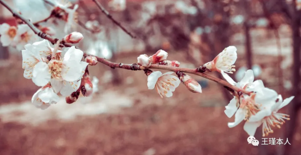 那個40&plus;的老阿姨，想做什麼？