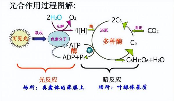 楊培東的偉大成就：研發人工光合作用，讓二氧化碳變成汽油、藥品
