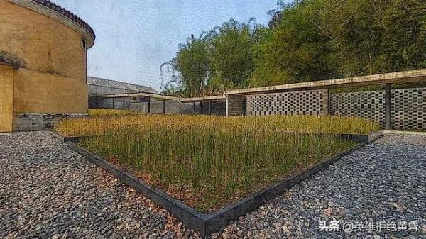 龍歸糧倉（組詩） 作者：成月秀