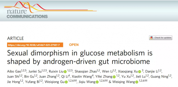 Nat Commun | 王衛慶/王計秋團隊報道腸道菌群與糖尿病的性別差異 Nat Commun | 王衛慶/王計秋團隊報道腸道菌群與糖尿病的性別差異