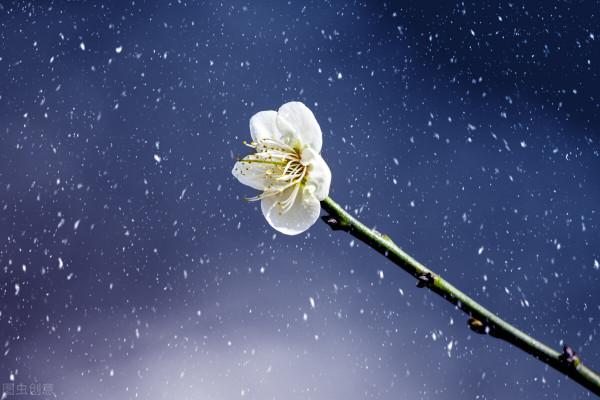 保持飢餓,保持愚鈍 保持飢餓,保持愚鈍