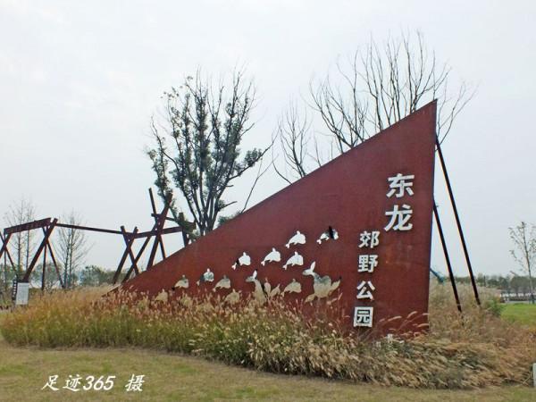 南京浦口“東龍山郊野公園” 南京浦口“東龍山郊野公園”