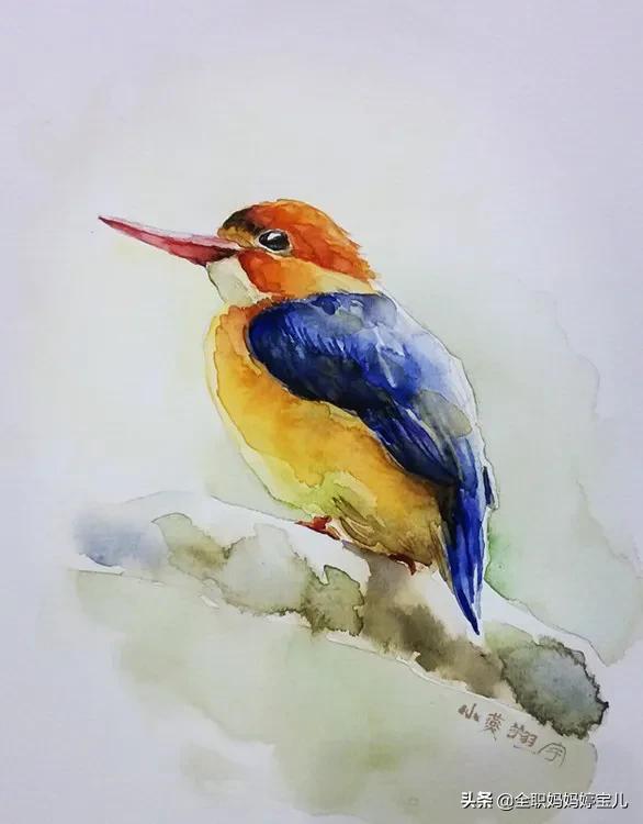 分享——栩栩如生的水彩鳥兒圖