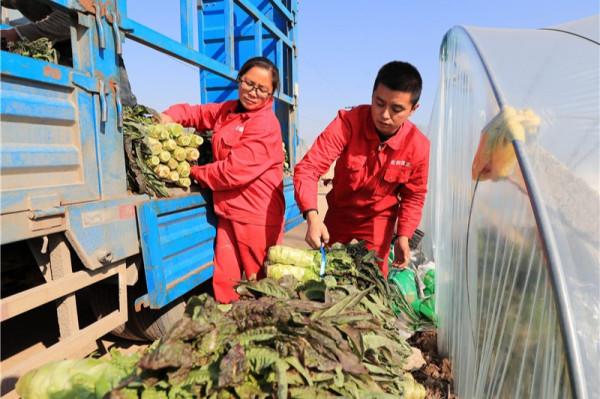 鄉村振興看一線｜江心洲上的創業姐弟