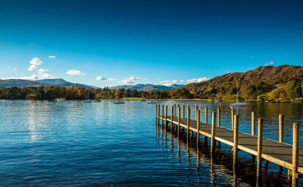 看起來很傻，實則機智過人的星座，城府深不可測，總能掌控全域性