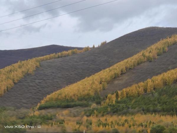 一路走來一路拍，只是想把美景分享給朋友們