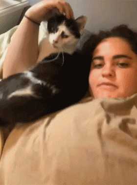 貓每天來擦玻璃，半年後獲得長期飯碗