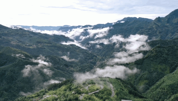 賞秋來這裡！什邡神瀑溝紅楓林金秋醉美風景上線~