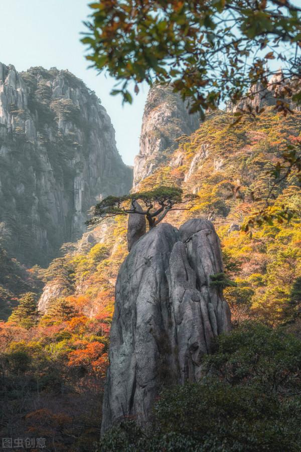 安徽又又又又又紅了 安徽又又又又又紅了