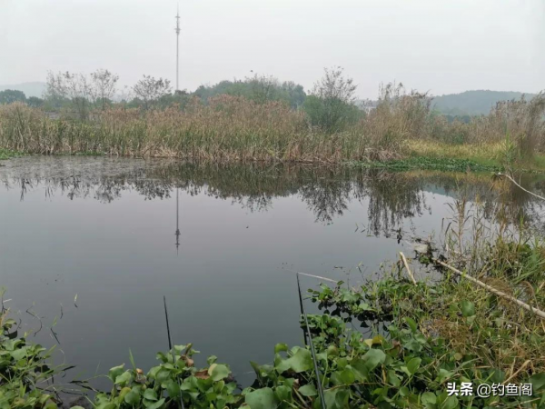 天冷如何選釣點?務必記住這個選擇順序,實戰經驗總結 天冷如何選釣點?務必記住這個選擇順序,實戰經驗總結