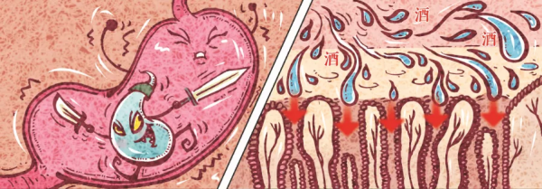 「漫繪科普」為什麼說沒有一滴酒是&OpenCurlyDoubleQuote;無辜&rdquo;的？