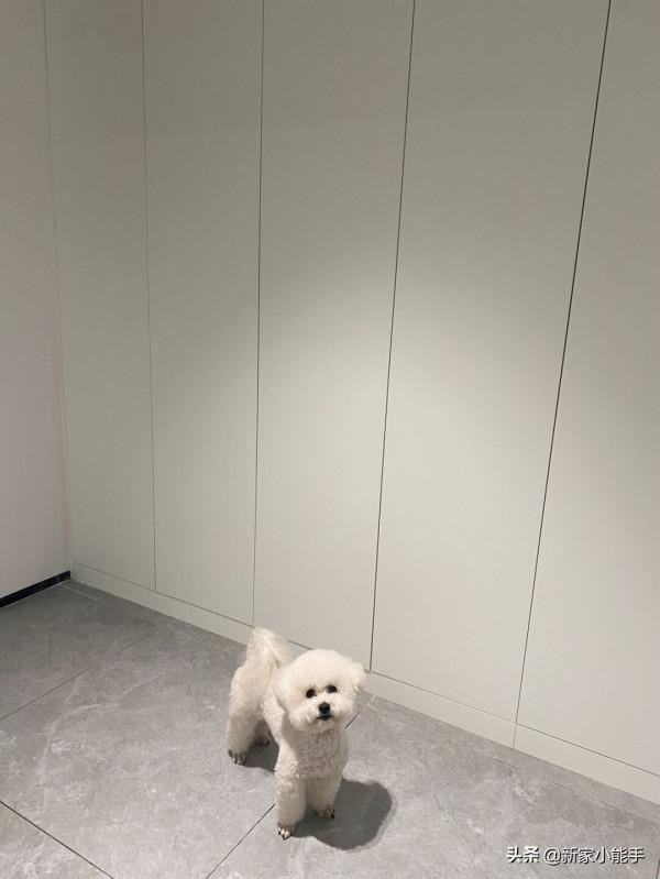 歷時五個月硬裝完工,簡單裝修,無主燈的設計一家人都滿意 歷時五個月硬裝完工,簡單裝修,無主燈的設計一家人都滿意