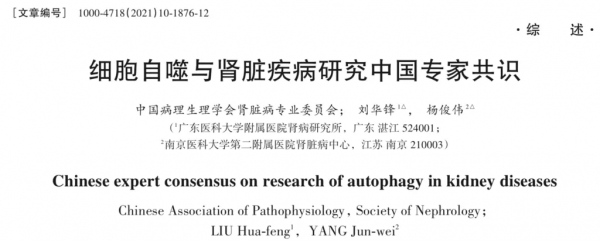 廣東醫生牽頭國內首發！《細胞自噬與腎臟疾病研究中國專家共識》釋出