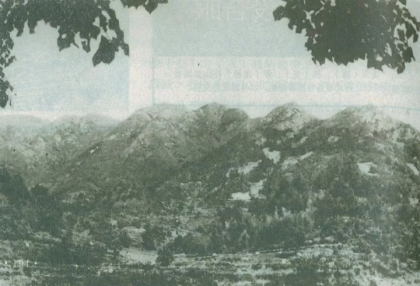 黨史百年天天讀 ·1月6日