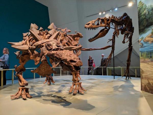 “脛骨毀滅者”,殘暴的名字,有趣的龍 “脛骨毀滅者”,殘暴的名字,有趣的龍