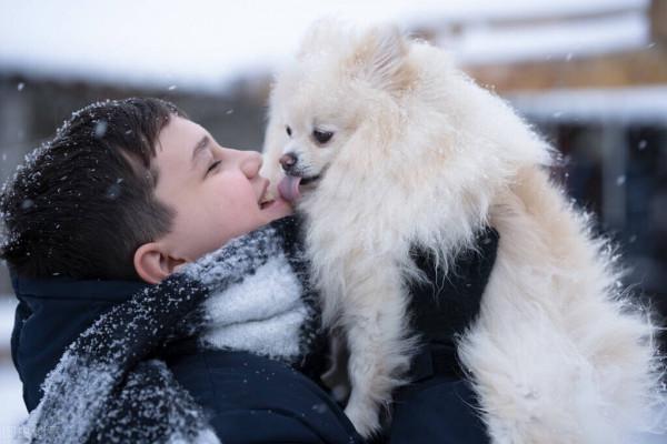 狗狗高智商排行榜 看看你家狗狗在不在榜