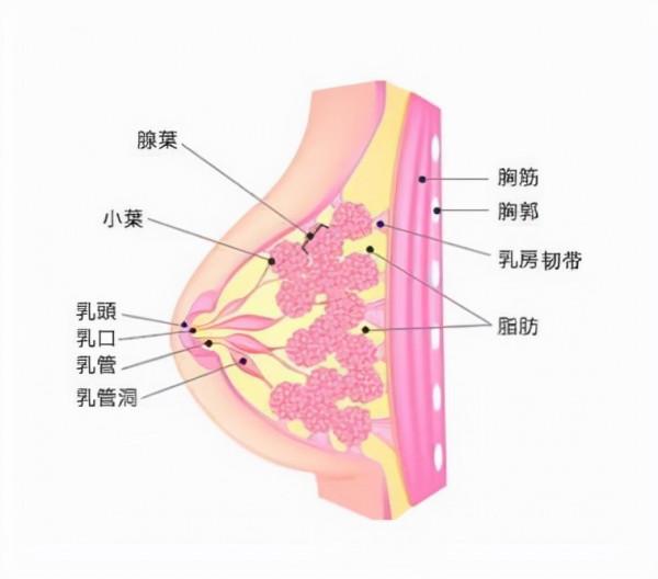 醫生未必會告訴你：偶爾得這6種“病”，不一定是壞事