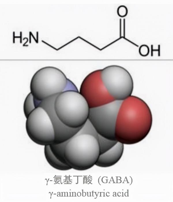 美容覺睡不著，這些成分了解一下
