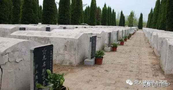 小學課本騙了你?《燈光》背後的那片無名英烈墓 小學課本騙了你?《燈光》背後的那片無名英烈墓