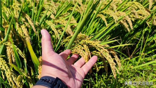 回首往事知多少，翻天覆地慨而慷，2021東北自駕總結