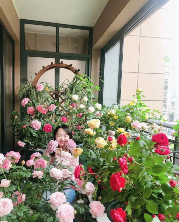 封閉陽臺也爆花!4個優秀案例,面積2.4m²-9m²,總有一個給你靈感 封閉陽臺也爆花!4個優秀案例,面積2.4m²-9m²,總有一個給你靈感