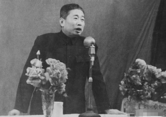 王新蘭和肖華相愛46年，肖華因病逝世後，王新蘭為何自責不已？