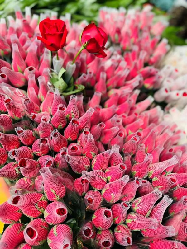 謀眾斷獨（藏頭詩）