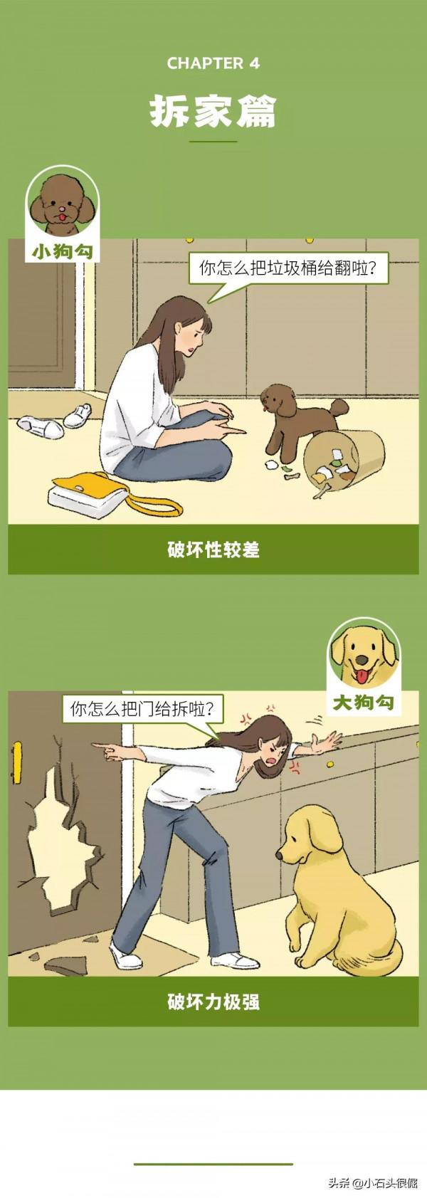 養大狗和小狗的區別(漫畫) 養大狗和小狗的區別(漫畫)